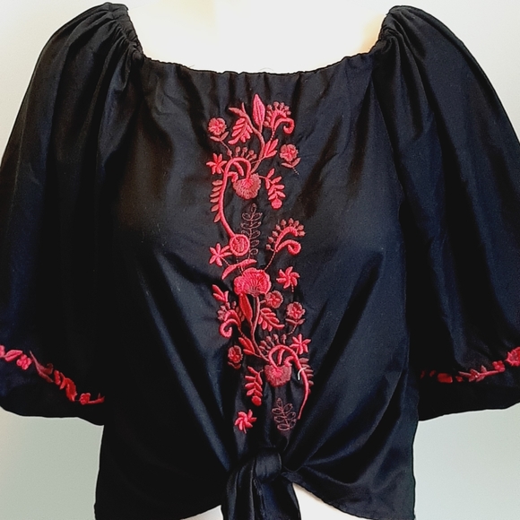 🅱️🅾️G🅾️ Zara red floral embroidery black cotton blouse - Picture 3 of 6